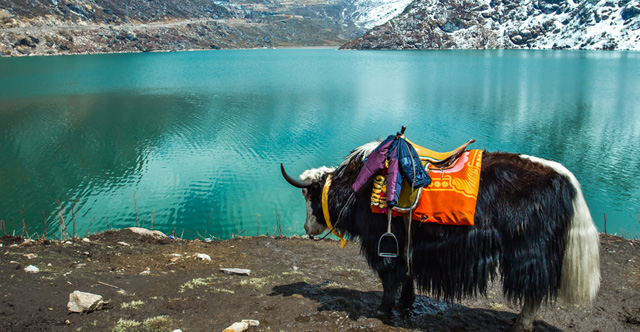 The Ever-changing Beauty of Changu Lake: A Seasonal Spectacle