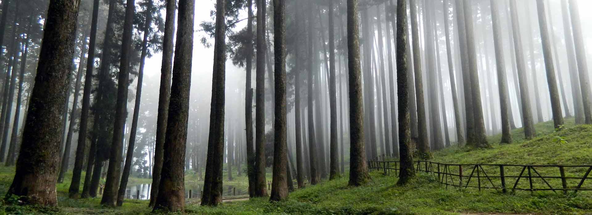 Darjeeling Weekend Escape – 3 Days & 2 Nights