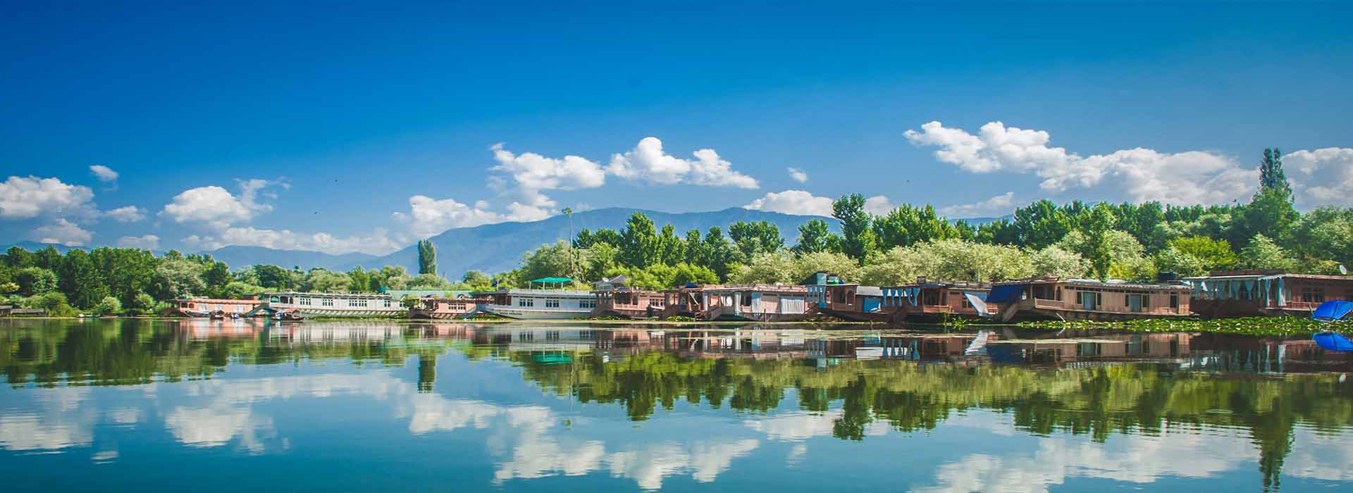 Short And Sweet Kashmir