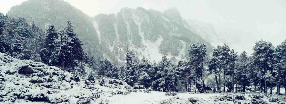 Arunachal Essence Tour – Culture & Nature