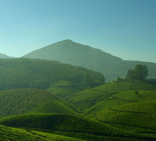 Kerala with South India tour