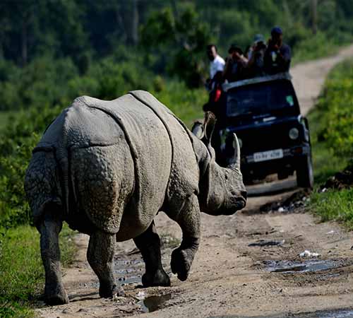 12-Day Assam & Arunachal Adventure with Shillong & Kaziranga Safari